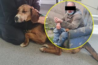 Gwałciciel psa nie trafił do więzienia pomimo wyroku! Skandaliczna pomyłka urzędnika doprowadziła do kolejnej psiej tragedii