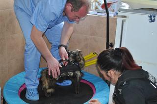 JENOT UCZY SIĘ CHODZIĆ.