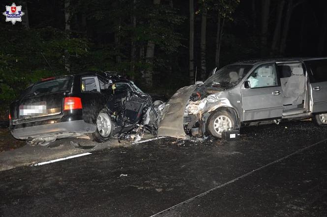 Tragiczny wypadek w Pobołowicach-Kolonii. 40-latka i 17-latek zginęli na miejscu! [ZDJĘCIA]