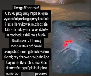 Przejechali mu psa oplem. „Zabili moją Sunię!”