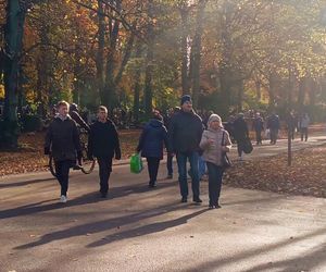1 listopada na Cmentarzu Centralnym w Szczecinie