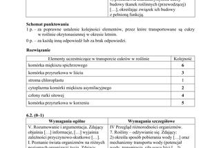 Matura 2018 z biologii [ARKUSZE CKE, ODPOWIEDZI]