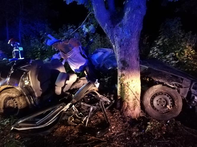 Tragiczny wypadek pod Braniewem. Audi wbiło się w drzewo. Nie żyje 19-latek [ZDJĘCIA]