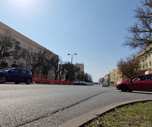 Historia wśród drzew! Tak żyje się na osiedlu Leśnym w Bydgoszczy