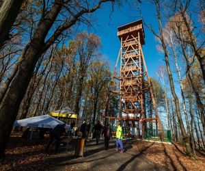 Nowa wieża widokowa w Małopolsce już otwarta. Warto wybrać się tam zwłaszcza jesienią