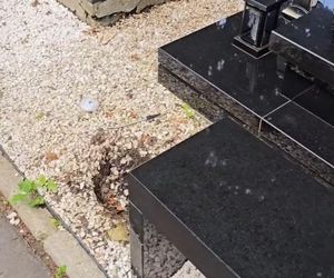 Złodziej na grobie syna Sylwii Peretti. Szok, co zabrał!