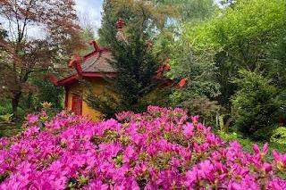 Ogród dendrologiczny w Przelewicach 2024