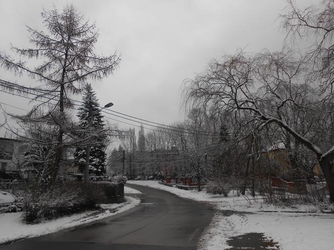 Śnieg, mróz i zimny wiatr. Do miast Śląka i Zagłębia wróciła zima!  [ZDJĘCIA]