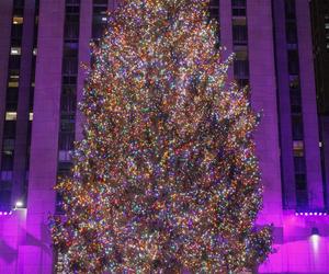 Choinka w nowojorskim Rockefeller Center została rozświetlona