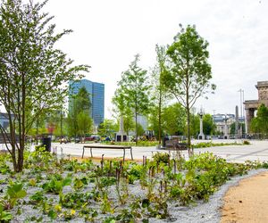 Plac Centralny w Warszawie