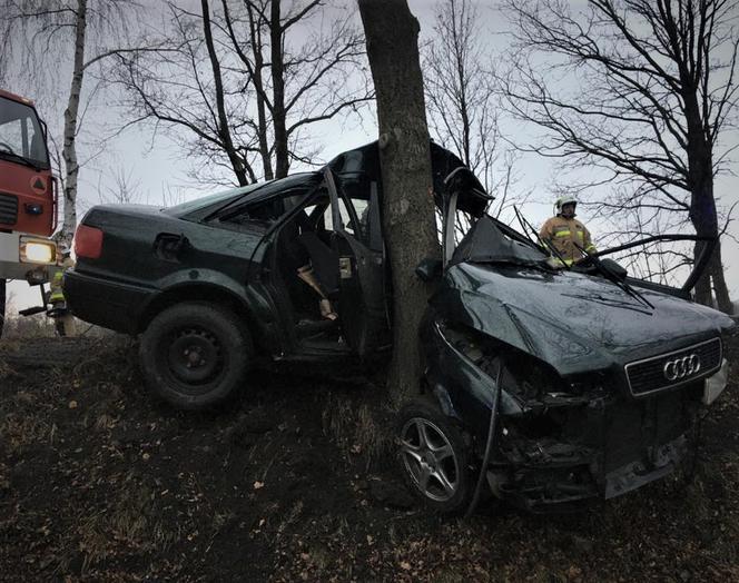 Zawinął się na drzewie starym Audi