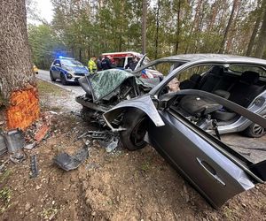 Kierowca uderzył oplem w drzewo, nie przeżył. Policja szuka sprawcy