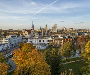 Łódzkie chce być ogrodem Polski. Rusza na wojnę z betonozą