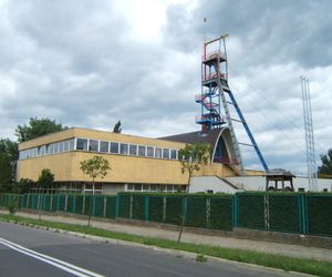 Największe muzea w województwie śląskim. Są imponujące  Aktywny