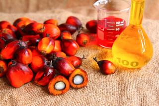 Olej palmowy to najgorszy olej? Nie zawsze - zwróć uwagę na jeden szczegół