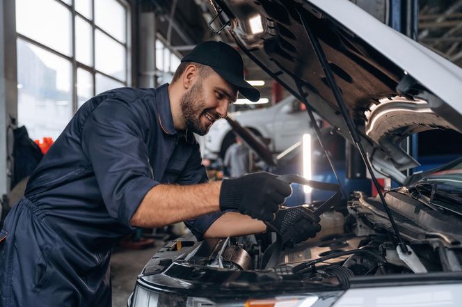 Mechanicy pojazdów samochodowych (deficyt w 194 powiatach)