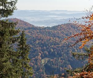 To miejsce w Małopolsce najpiękniej wygląda późną jesienią według AI. Ma status kultowego