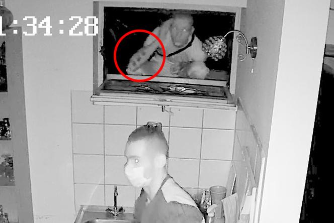 Włamanie do restauracji w Bydgoszczy. Rozpoznajesz tych mężczyzn?