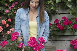 Sadzenie pelargonii do skrzynki