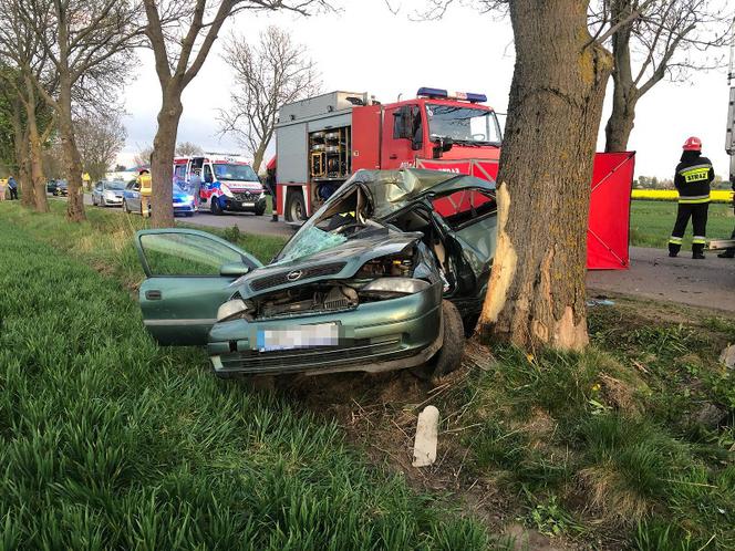 ZMASAKROWANE auto! 23-latka uderzyła w drzewo i zginęła! [ZDJĘCIA]