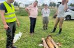 Kość mamuta znaleziona w Małopolsce