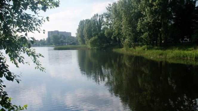 stawy na tysiącleciu