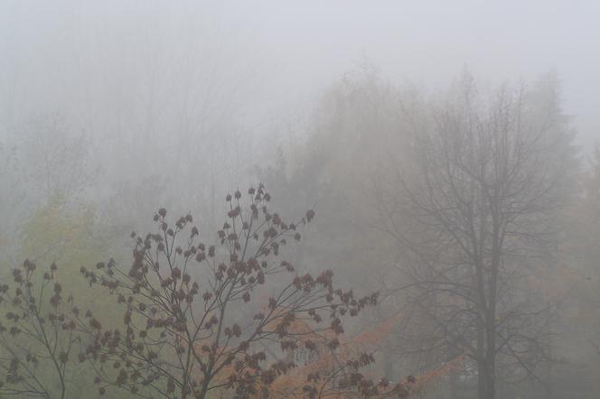 Gigantyczna mgła w Krakowie to SMOG! Fatalna jakość powietrza w Małopolsce [DANE]