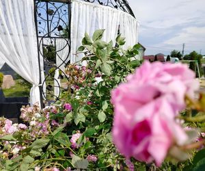 Magda Gessler w województwie śląskim. Przeprowadza Kuchenne Rewolucje w Świerklanach