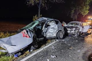 Tragiczny finał manewru w niedozwolonym miejscu
