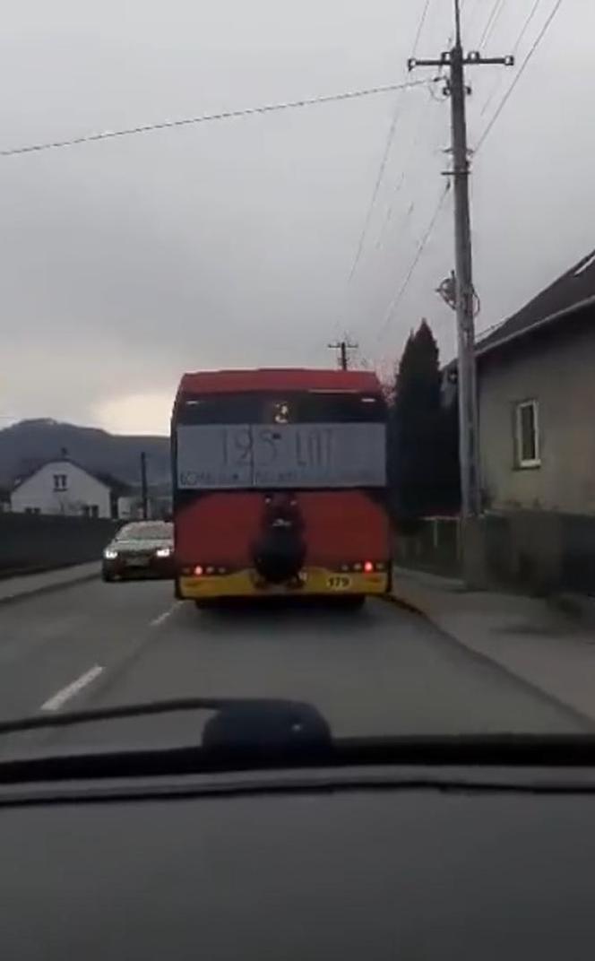 Bielsko-Biała. Jechał na zderzaku autobusu! To nagranie jest hitem [ZDJĘCIA]