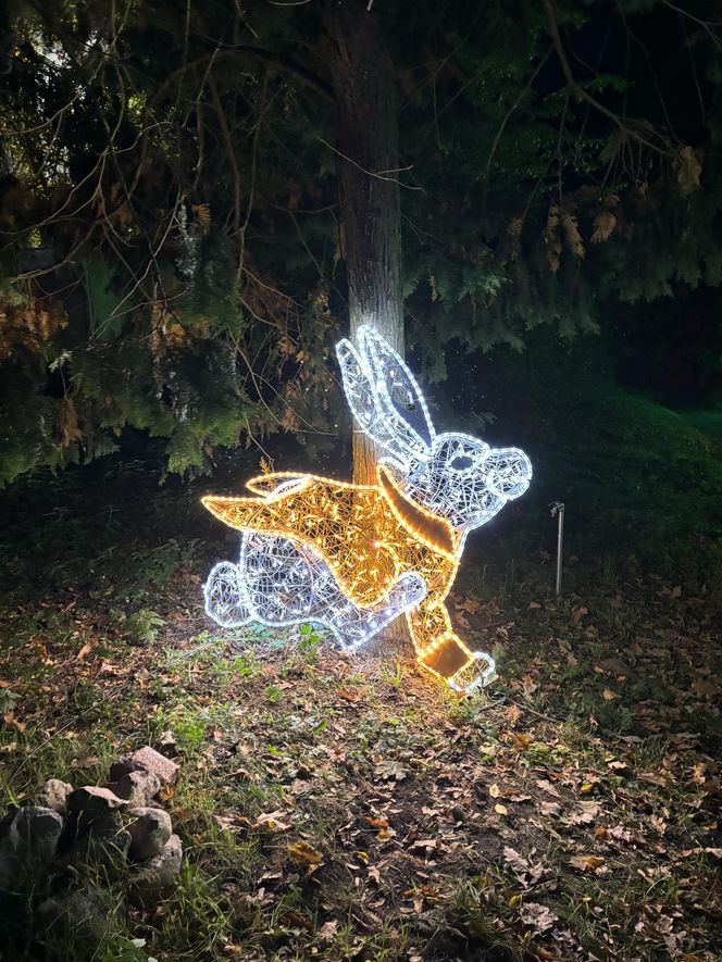 Otwarcie Lumina Parku w Poznaniu. Tegoroczne świecące miasteczko robi fenomenalne wrażenie!