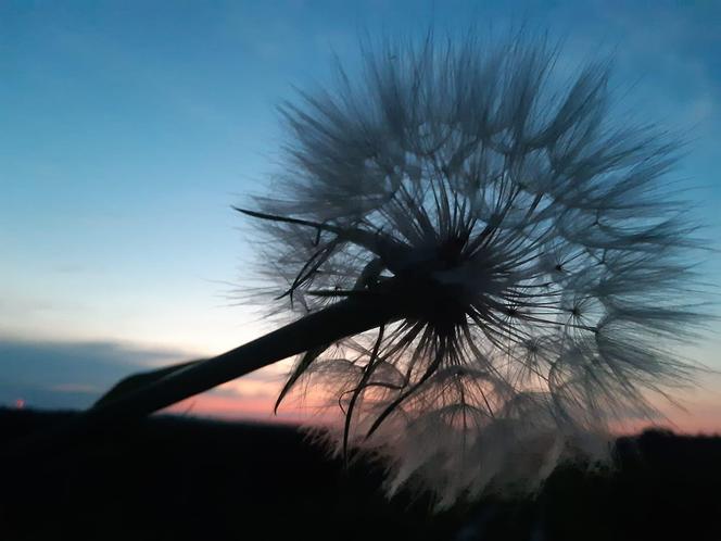 Światowy Dzień Fotografii. Z tych fotek są dumni nasi Czytelnicy! ZOBACZ