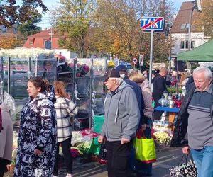 1 listopada na Cmentarzu Centralnym w Szczecinie