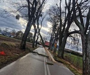 Wichury nie ustępują, jest coraz gorzej. W województwie pomorskim zdarzeń jest najwięcej