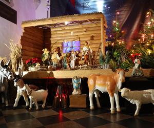 Szopki bożonarodzeniowe w kościołach w Lublinie