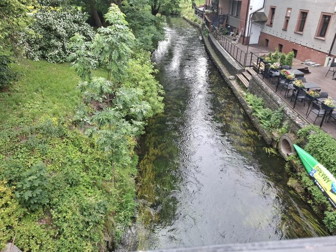 W tym mieście poczujesz się jak w Wenecji. Włoski klimat na północy Polski