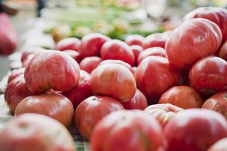 Pomidory malinowe - sadzenie, uprawa, odmiany i pielęgnacja