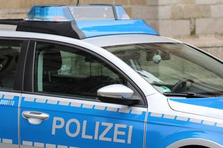 28 ciosów nożem w 3-letniego braciszka! 15-latka z Polski nie miała żadnej litości