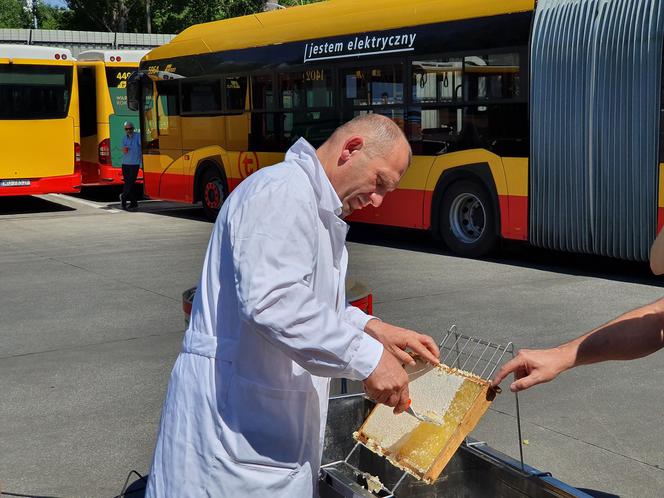 Zajezdnia Stalowa pasieką? MZA zebrało już pierwszy miód