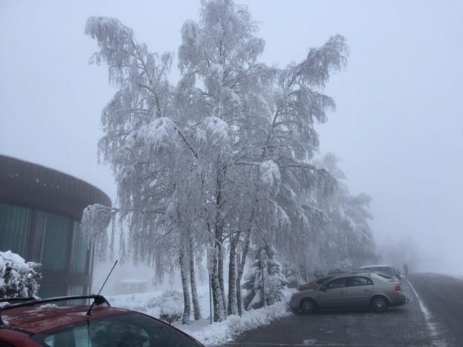 Na Podkarpaciu zrobiło się biało