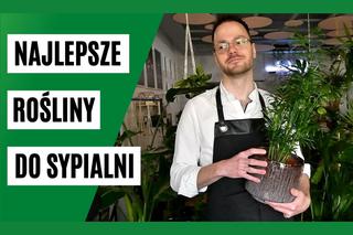 Rośliny doniczkowe do sypialni. 3 gatunki oczyszczające powietrze w sypialni [WIDEO]