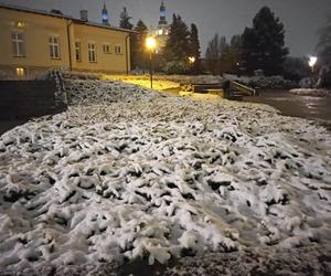 Pierwsze opady śniegu. Zobacz jak wyglądają Kielce w zimowej szacie