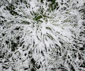 Pierwszy śnieg w Przemyślu