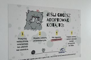 Schronisko dla Bezdomnych Zwierząt w Szczecinie