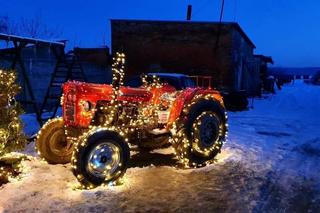 Lubuskie Las Vegas. Świąteczne Popowo pod Gorzowem znów rozświetlone!