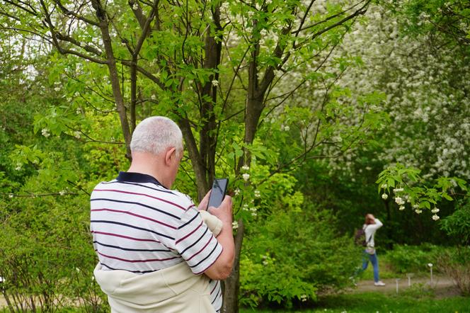 Ogród Botaniczny w Lublinie