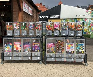 Krynica Morska to popularne miejsce na urlop. Jakie sątu ceny?
