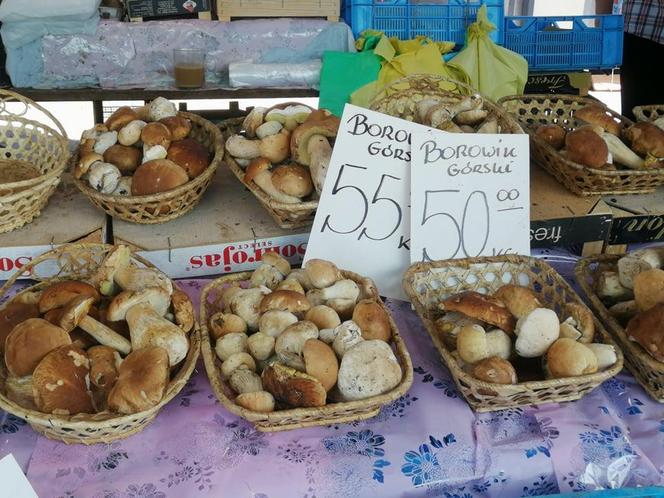 Ile kosztują grzyby w Krakowie? Ceny na targowiskach przyprawiają o zawrót głowy