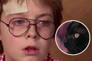 „Hator, hator, hator” to wciąż potężne zaklęcie. Pamiętasz jeszcze kota Radamenesa i serial „Siedem życzeń”?