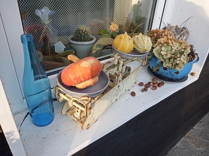 Sielski klimat w Wieliczce